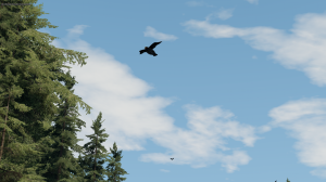 screenshot_2022-09-06_15-15-44.png