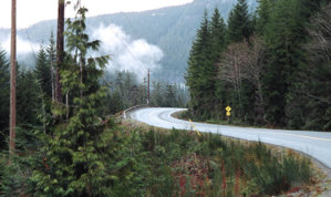 highway4.jpg