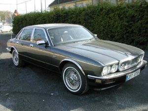 1795_258_jaguar-40-002.jpg