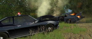 screenshot_00005 copy.jpg