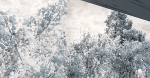 screenshot_2022-10-08_10-00-35.png
