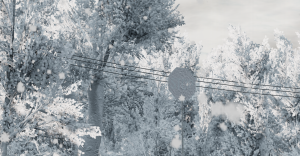 screenshot_2022-10-08_09-59-49.png