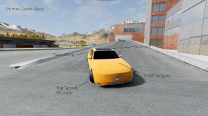 race-info-y.png