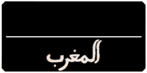 user_license_plate_background_d.png