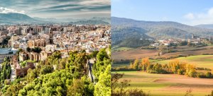 cityvscountryside2.jpg