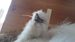 20220922_160025.jpg