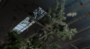 screenshot_2022-11-17_15-13-52.png