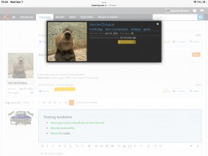 BB83154B-58CC-4D3E-8077-7B08B255DB95.jpeg