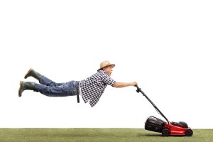 why-you-should-hire-a-lawn-mowing-professional.jpg