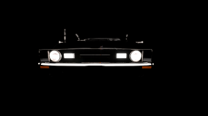 FoxLow-vis.png