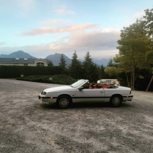 lebaron2.jpg