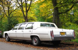 limo.jpg