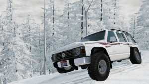 PatrolPicB.png