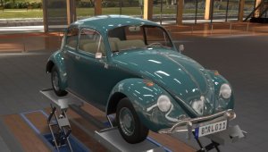 beetle.jpg