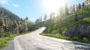 Forest_preview.jpg