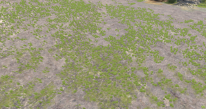 screenshot_00666.png