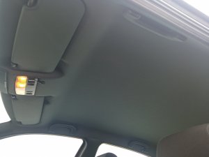 IMG_20230311_103951.jpg