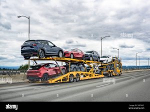 professional-yellow-big-rig.jpg