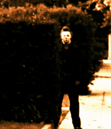 lurking-mike-myers.gif