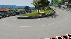 Buisson.jpg