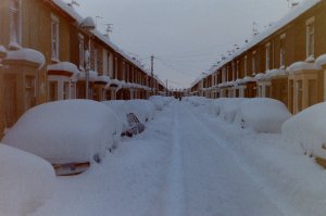 IMG_2511.jpeg