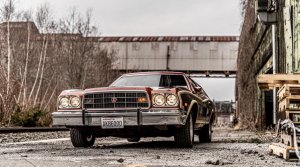 IMG_2554.jpeg
