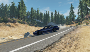 1029cjs