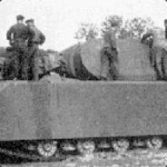 tiger1