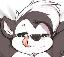 SkunkInSocks