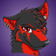 STORM HUSKY