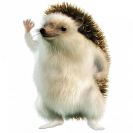 Kevin15673