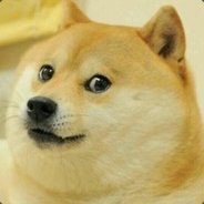 Doge2807