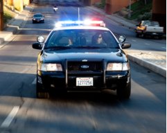 ford crownvic