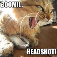 catfarts03 2