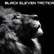 KBT PANTHER