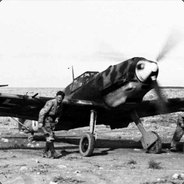 Die Kampfflieger