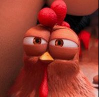DryChicken