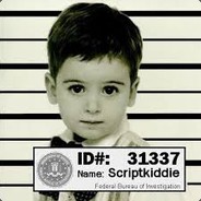 Skript Kiddie