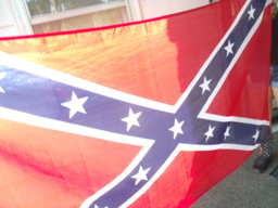 RebelBloodInMyVeins