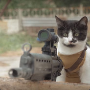 Cat Military