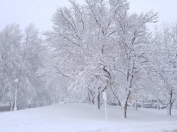 Snowstorm
