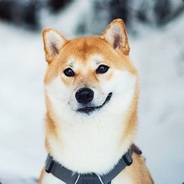 Peterr