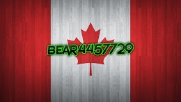 bear445