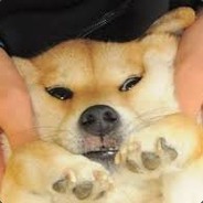 (G.E.W.P) LeNormalPlayer