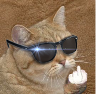 SuperSneakyKitty