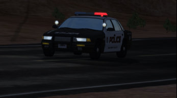 Berkut_24