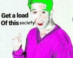 seggy1