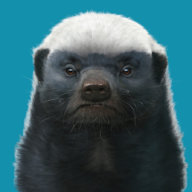 HoneyBadger055