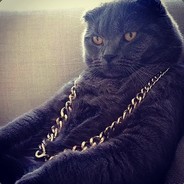 Slammed_boii