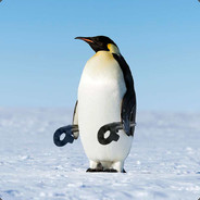 Lonely Penguin